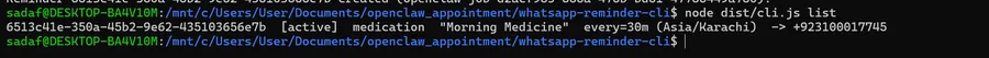 remind list command output — active reminder listed with schedule and recipient