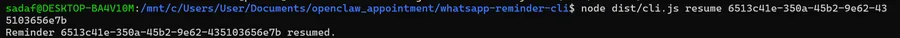 remind resume command output — reminder resumed
