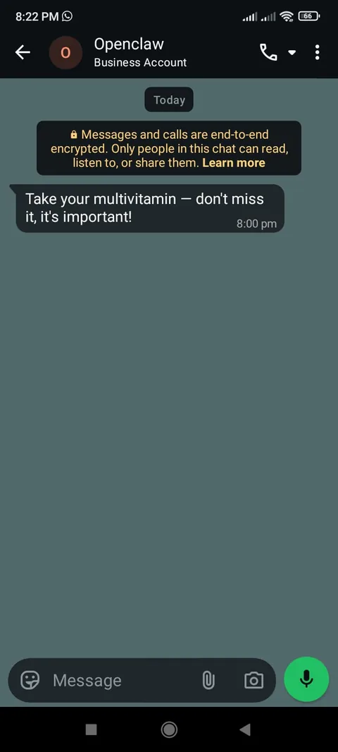 Second WhatsApp message delivered by remind add — test medication reminder